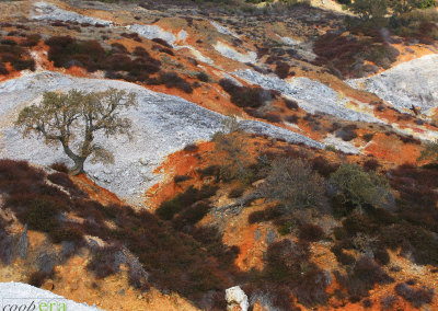 I nostri itinerari di Natura in Maremma