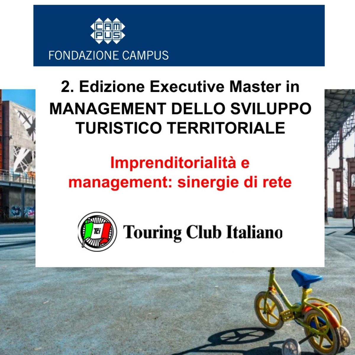 Formazione Università